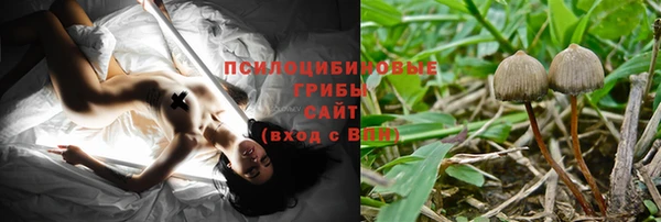 a pvp Арсеньев
